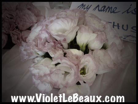 VioletLeBeauxP1040526_886 copy